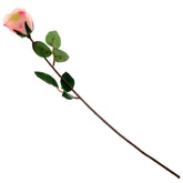 SINGE ECUADOR ROSE 1F 6LVS(V1R72)Unspecified